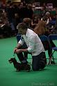 Crufts2011_2 1213